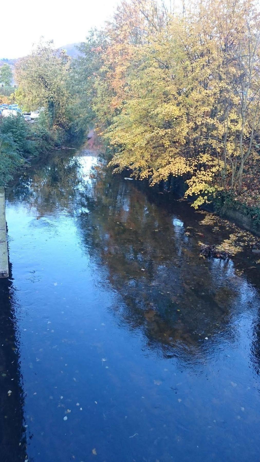 Les Cottages De France Saverne Eksteriør bilde